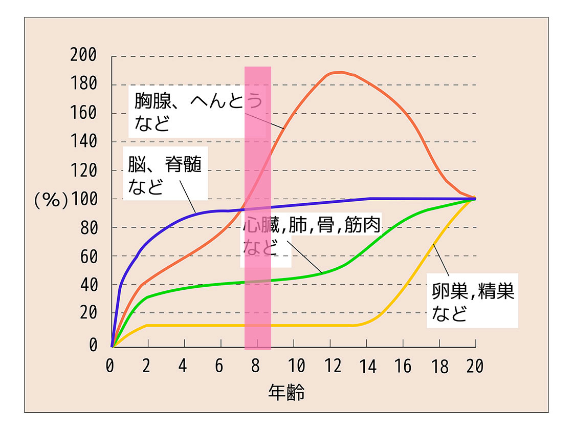 こどもの矯正治療とは